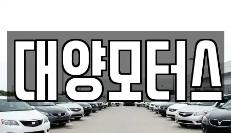 전남 완도군 청산면 중고차,렌트카,중고차매입,중고차매매,장기렌트카,단기렌트카