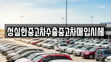 전북 전주시 완산구 중앙동2가 중고차매매 전문 성실한중고차수출중고차매입시세