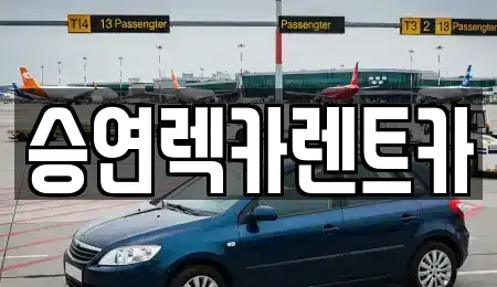 전북특별자치도 전주시 덕진구 장동 렌트카 전문 승연렉카렌트카