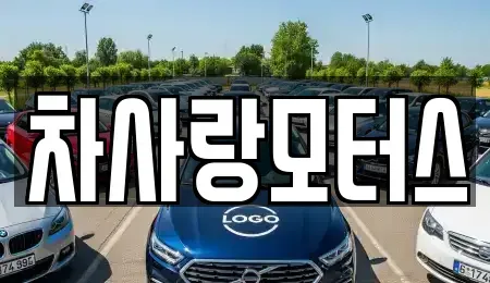 전북특별자치도 전주시 덕진구 장동 중고차 전문 차사랑모터스