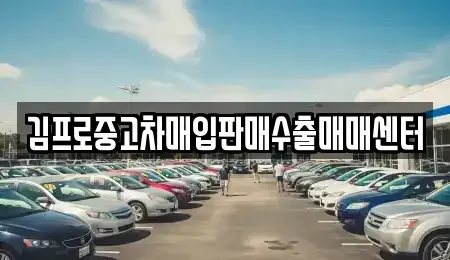 충북 청주시 상당구 서문동 중고차매입 전문 김프로중고차매입판매수출매매센터