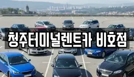 충북 청주시 서원구 죽림동 렌트카 전문 청주터미널렌트카 비호점