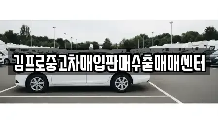 충청남도 공주시 웅진동 중고차매입 전문 김프로중고차매입판매수출매매센터